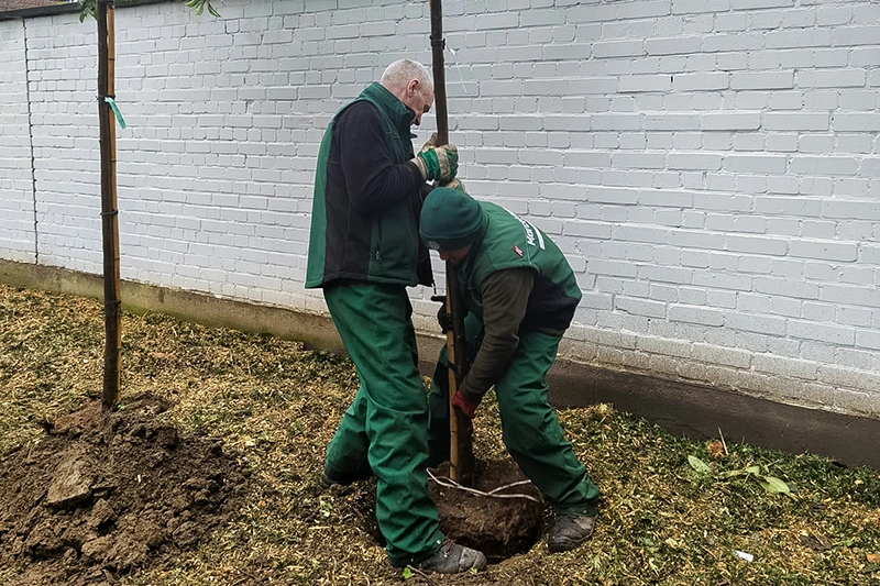 Gartengestaltung Marcel Koop